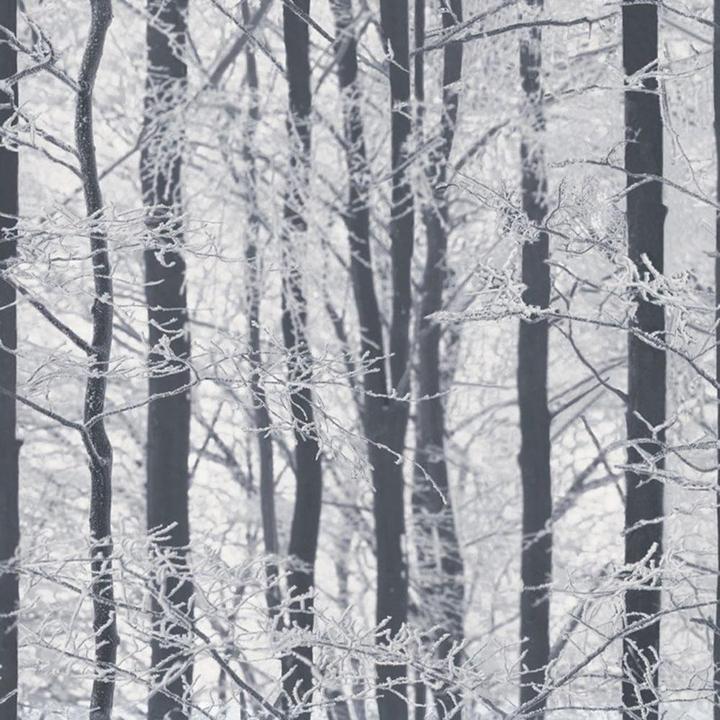 Actual product image Arthouse Wallpaper Iced Trees (53.5 x 978.5 cm)