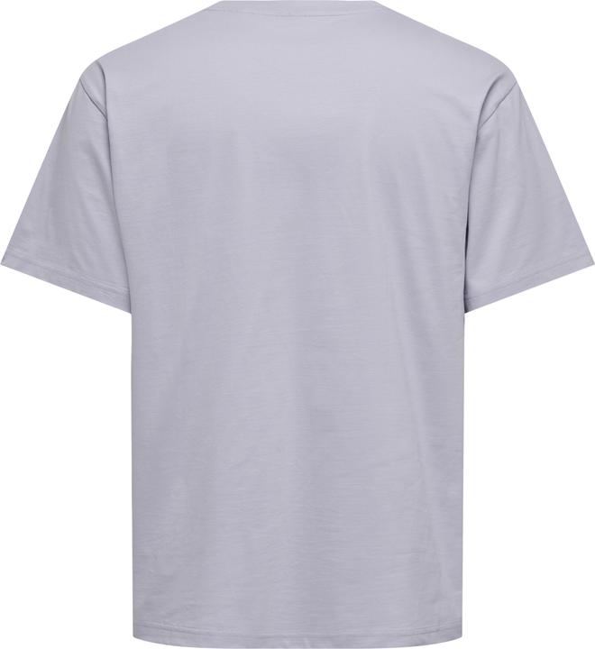 Image du produit Only & Sons Onsfred Life Rlx Ss Tee Noos (XS)