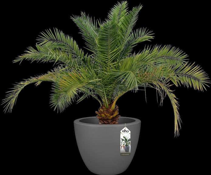 Produktbild Elho Pure Soft (59 cm)