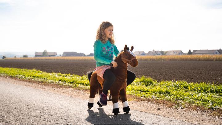 Image du produit Zoosy Cheval de selle taille M