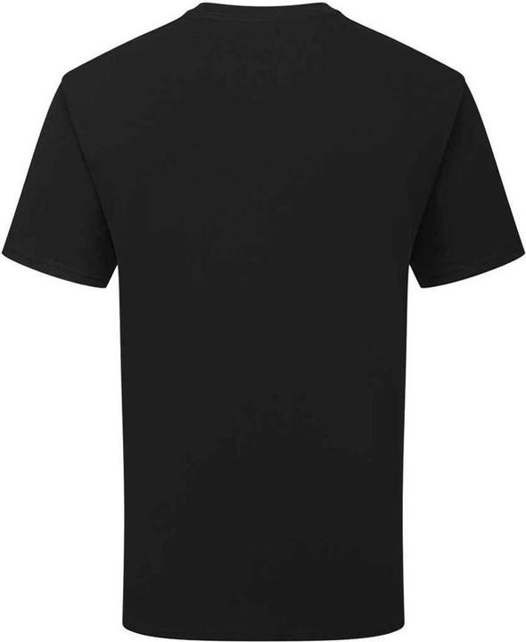 Actual product image Fruit of the Loom Unisex Adult Cotton T-Shirt (XL)