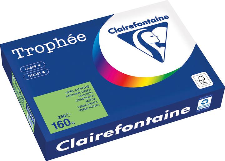 Produktbild Clairefontaine Universalpapier Trophée farbig (160 g/m², 250 x, A4)