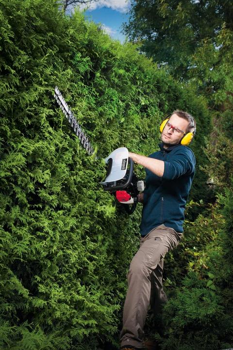 Actual product image Scheppach HTH250/240P Hedge Trimmer 1hp (Gasoline hedge trimmer)