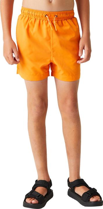 Actual product image Regatta Childrens/Kids Skander III Plain Swim Shorts (140)