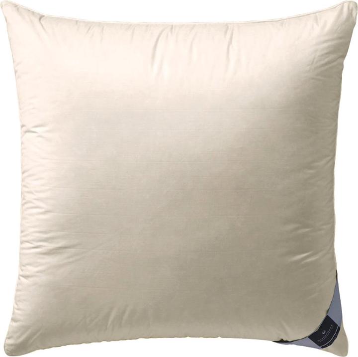 Actual product image Billerbeck BELVEDERE® 3-chamber pillow (40 x 80 cm)