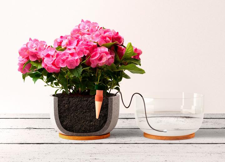 Actual product image Blumat Water dispenser (Clay cone)