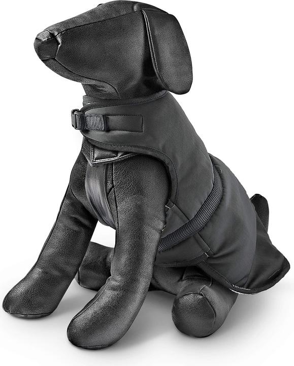Hundebekleidung