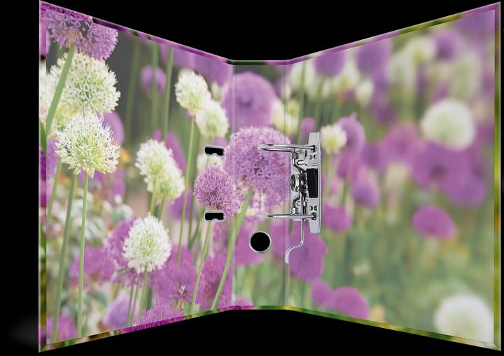 Produktbild Herma Ordner A4 Motiv (A4, 70 mm, 1 Stück)
