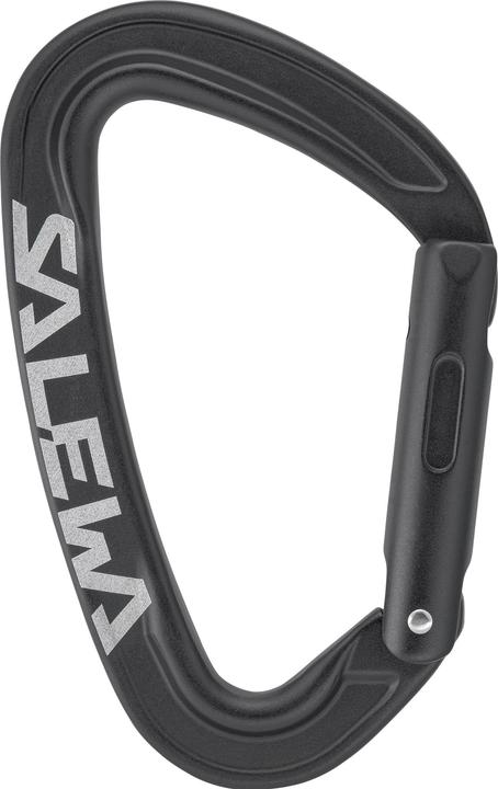 Salewa Ortles Straight Carabiner