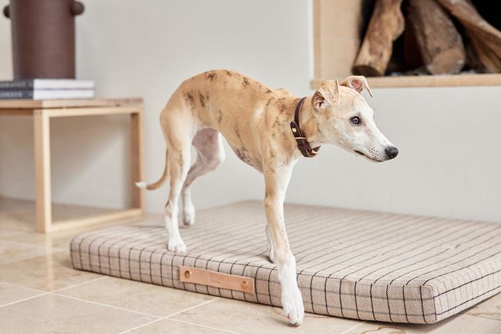 Actual product image Oyoy Milo (Dog)