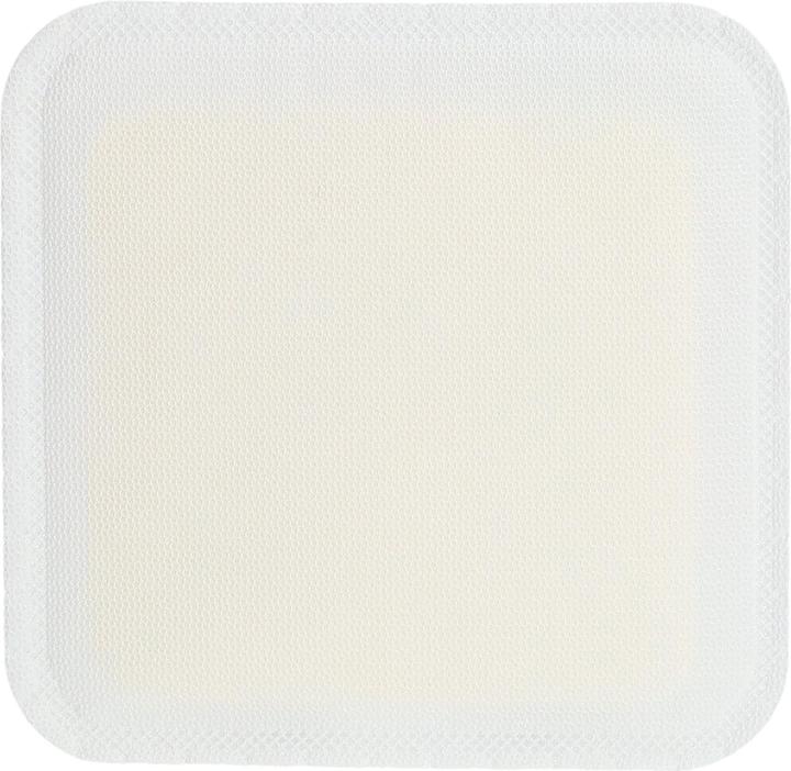 Immagine prodotto BSN Sorbion Sana Gentle 12x12cm (10 x)