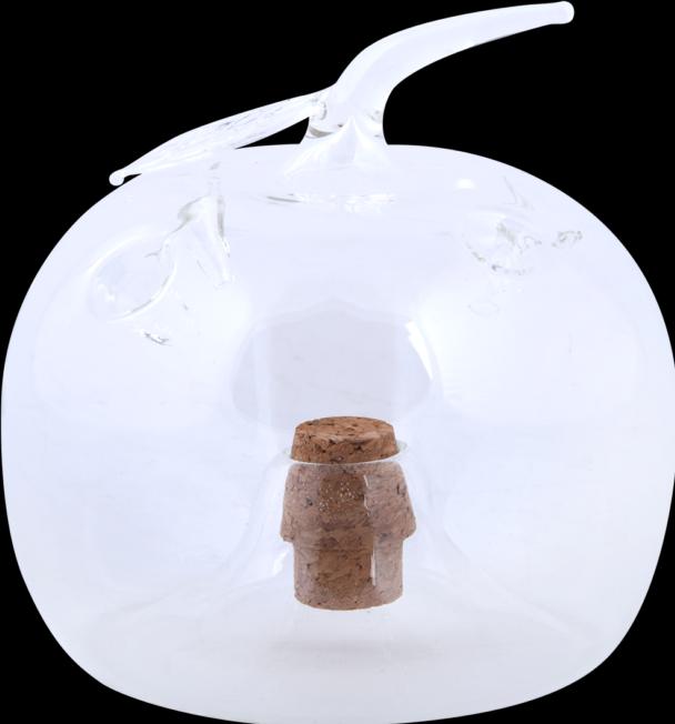 Actual product image Esschert Design Fruit fly trap apple