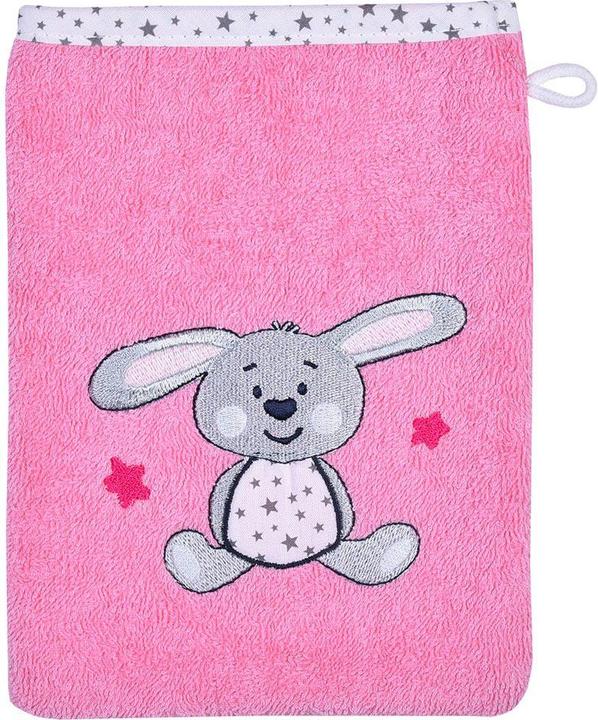 Hase