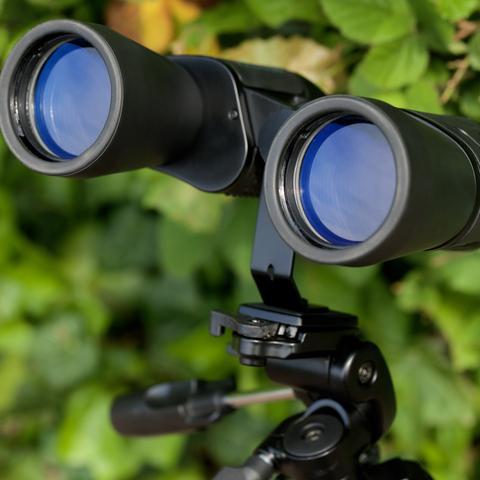 Actual product image Praktica Falcon 7x50 Binoculars (7 x, 50 mm)