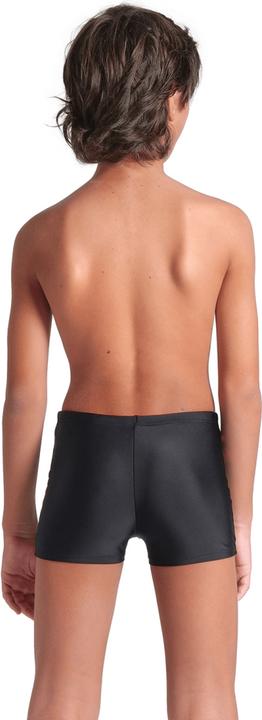 Immagine prodotto Arena B Rhythm Swim Short (164)