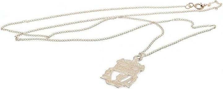 Actual product image Score Draw Silver Painted Necklace & Pendant (100% synthetic material)