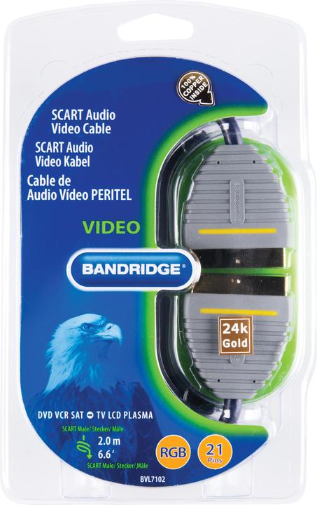 Actual product image Bandridge BVL7102 (2 m, Scart)