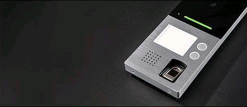 Actual product image EGB Villa AP Door Station 2 Fam Fingerprint