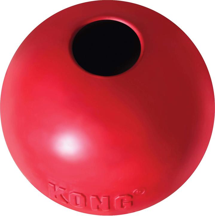 KONG Ball (Ball toy dog)