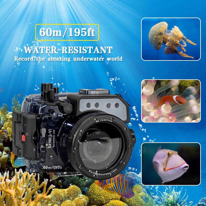 Actual product image Seafrogs SS-1 (Underwater housing, DSC RX100)