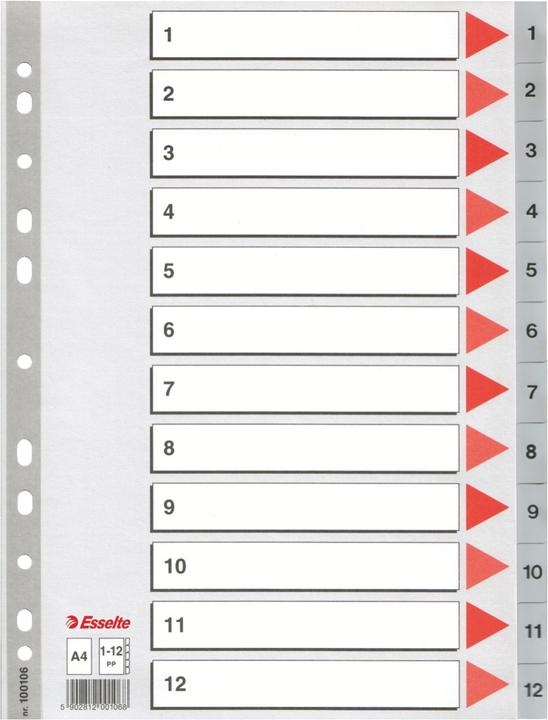 Actual product image Esselte Plastic register