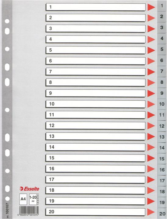 Esselte Plastic register