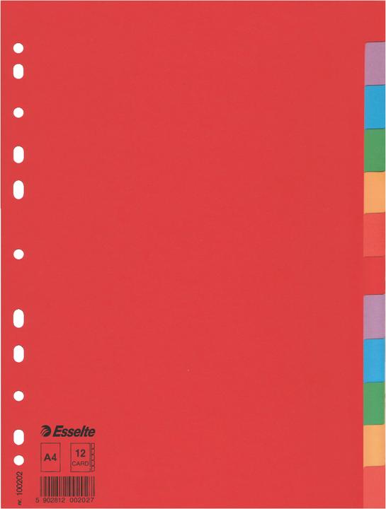 Actual product image Esselte Indice cardboard blank Economy