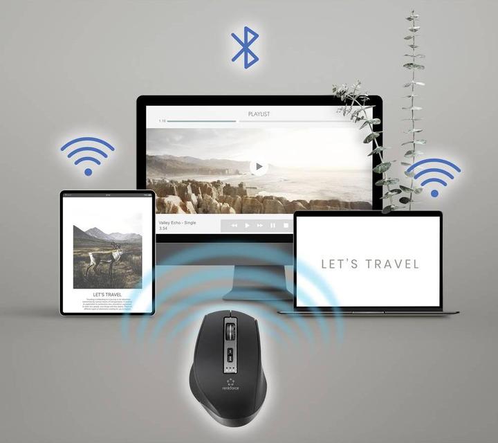 Actual product image Renkforce RF-WM-300 (Wireless)