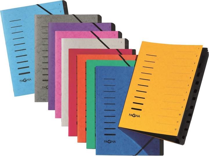 Actual product image Pagna 40058-10 Tab Register Aubergine (A4, 1 x)