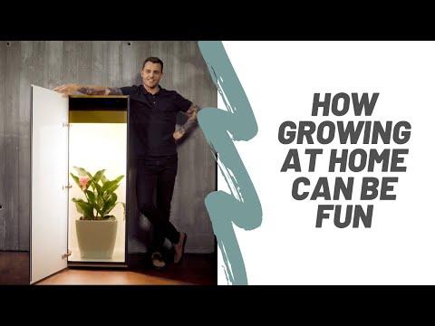 Actual product image Growfor.life Plant cabinet
