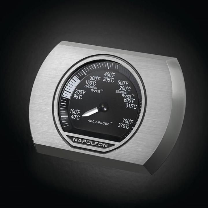 Produktbild Napoleon Rogue SE 425 (25.60 kW)