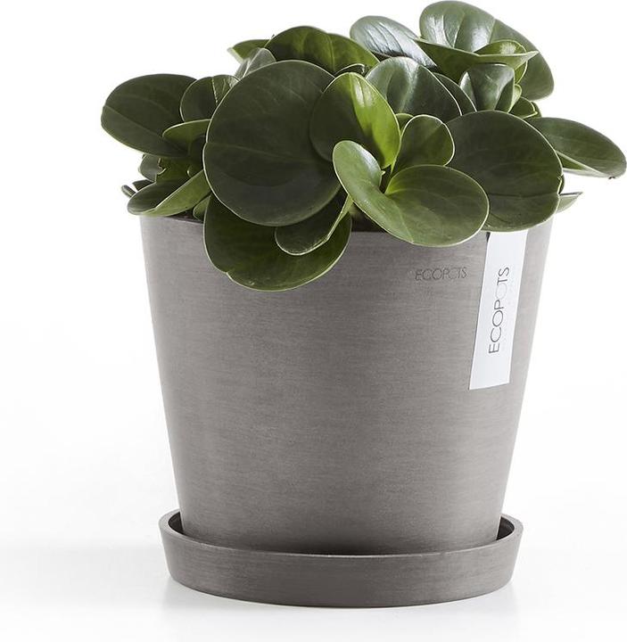 Image du produit Ecopots Saucière ronde