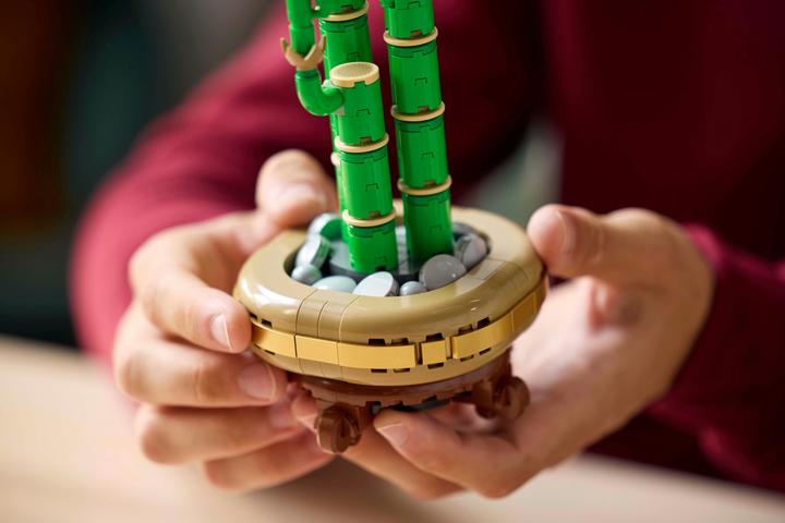 Image du produit LEGO Glücks-Bambus (10344, LEGO Icons)