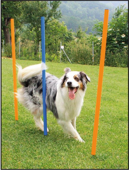 Swisspet Agility Slalom Set inkl. 12 Stäbe à 100cm (One Size, Agility)
