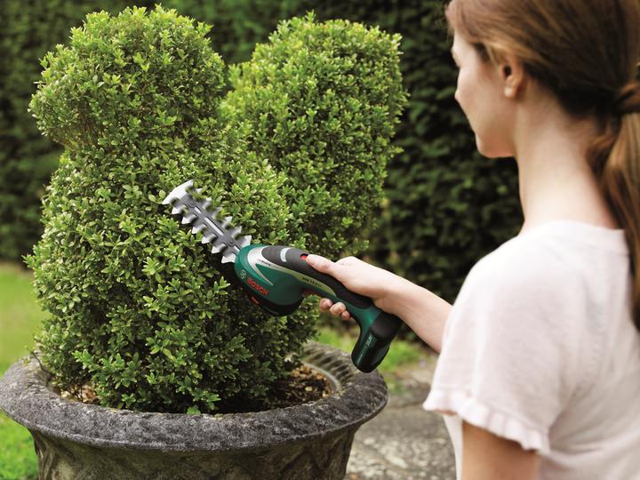 Image du produit Bosch Home & Garden ASB 10.8 LI Set (Taille-haies sans fil)