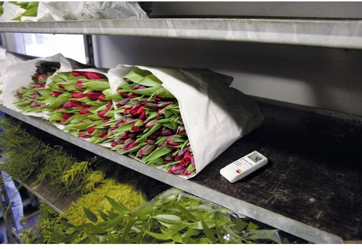 Image du produit Testo Enregistreur de données de température 184 T3 (Thermomètres)
