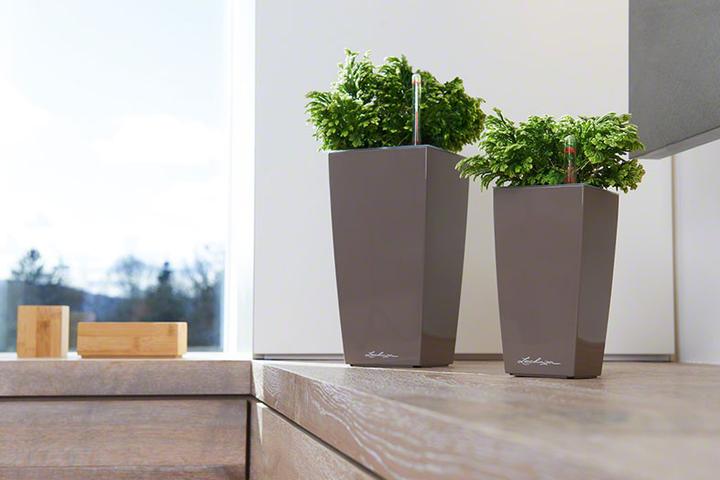 Image du produit Lechuza Mini Cubi (9.50 cm)