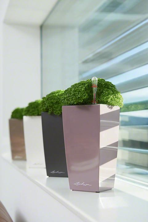 Image du produit Lechuza Mini Cubi (9.50 cm)