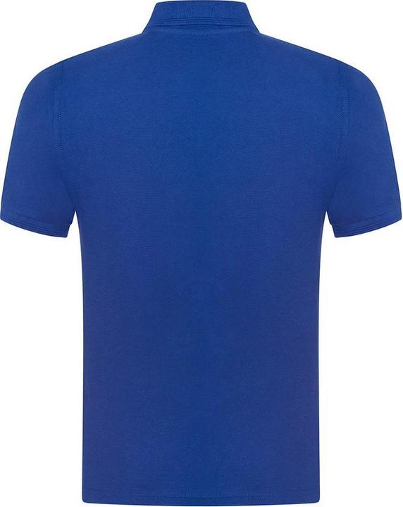 Actual product image Pro RTX Mens Premium Polo Shirt (L)