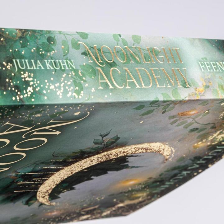Actual product image Moonlight Academy. Feenzauber (Julia Kuhn, German)