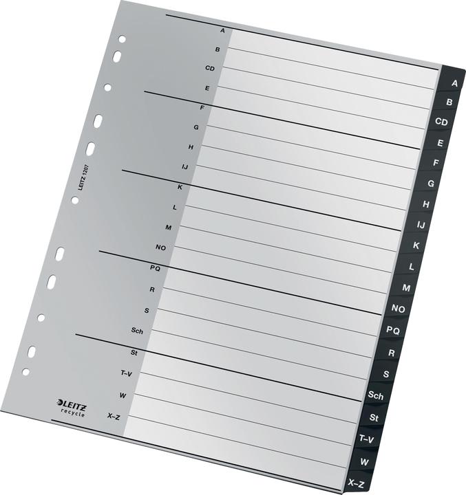 Actual product image Leitz Register Recycle