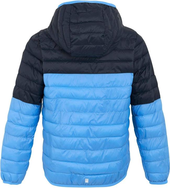 Actual product image Regatta Childrens/Kids Hillpack III Hooded Jacket (170, 176)