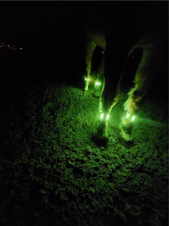 Produktbild Animal Light LED Leuchtgamaschen Threeple 4er-Set