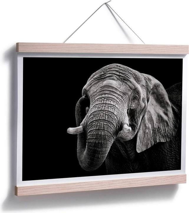 Image du produit Trenddeko L'éléphant (50 x 40 cm)