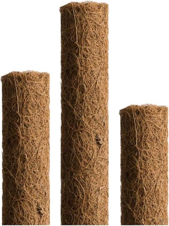 Actual product image Windhager Plant stick coconut (110 cm, 4.50 cm)