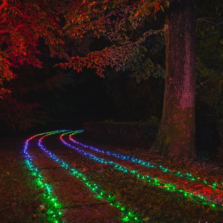 Productafbeelding Twinkly Draadloze kerstboomverlichting e String of Lights STRINGS 400 (32 m)