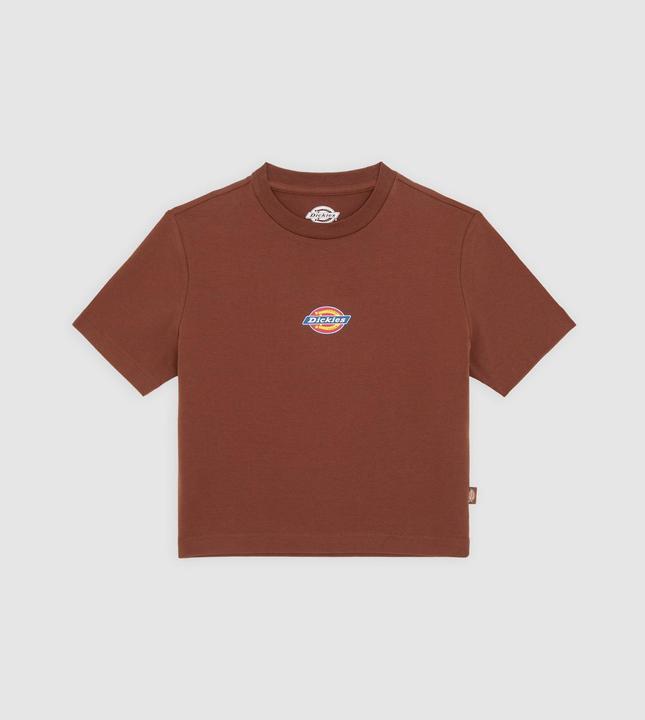 Dickies Maple Valley Tee Cappuccino (XS)