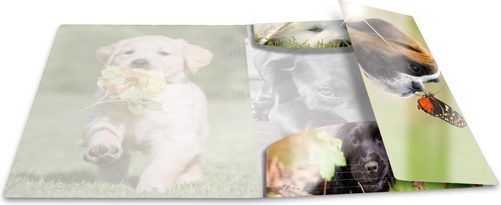 Actual product image HERMA A3 motif folder (A4, 1 x)