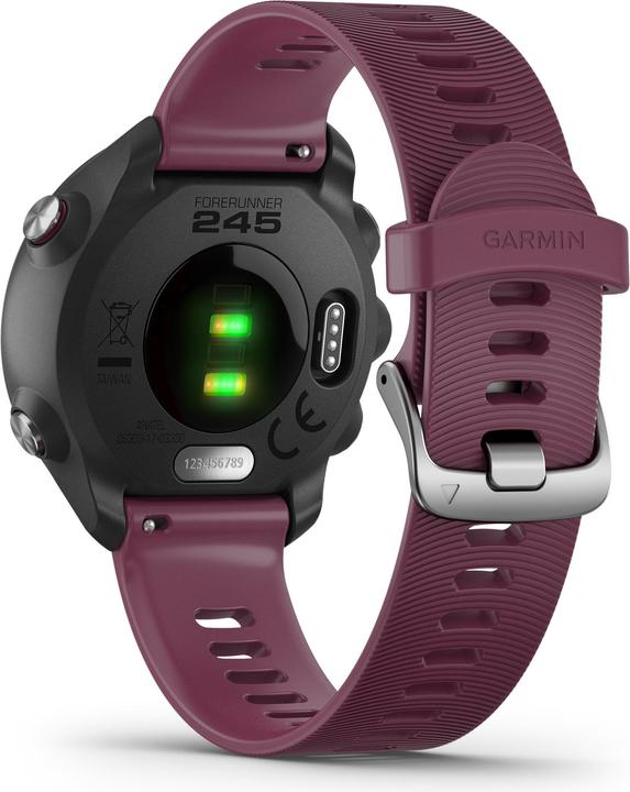 Actual product image Garmin Forerunner 245 (42.30 mm)