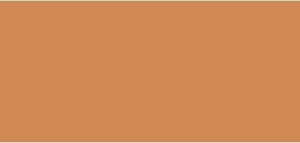 Actual product image MAC Cosmetics Studio Fix Tech Cream-To-Powder Foundation (nc42)